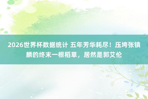 2026世界杯数据统计 五年芳华耗尽！压垮张镇麟的终末一根稻草，居然是郭艾伦