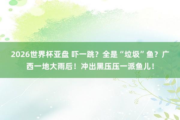 2026世界杯亚盘 吓一跳？全是“垃圾”鱼？广西一地大雨后！冲出黑压压一派鱼儿！