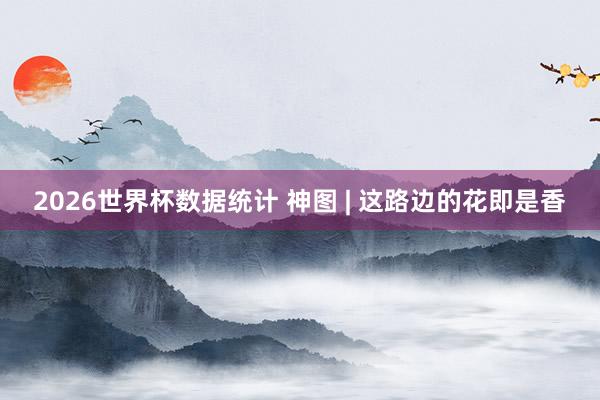 2026世界杯数据统计 神图 | 这路边的花即是香