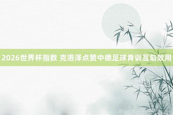 2026世界杯指数 克洛泽点赞中德足球青训互助效用