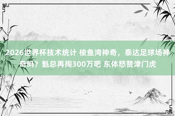 2026世界杯技术统计 梭鱼湾神奇，泰达足球场神奇吗？魁总再掏300万吧 东体怒赞津门虎