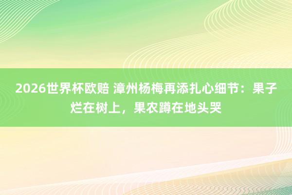 2026世界杯欧赔 漳州杨梅再添扎心细节：果子烂在树上，果农蹲在地头哭