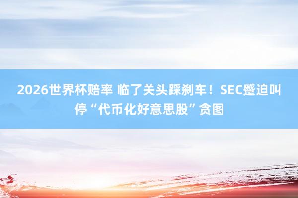 2026世界杯赔率 临了关头踩刹车！SEC蹙迫叫停“代币化好意思股”贪图