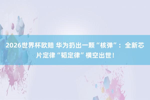2026世界杯欧赔 华为扔出一颗“核弹”：全新芯片定律“韬定律”横空出世！