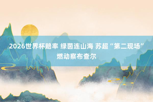 2026世界杯赔率 绿茵连山海 苏超“第二现场”燃动察布查尔