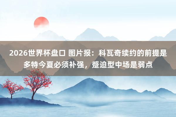 2026世界杯盘口 图片报：科瓦奇续约的前提是多特今夏必须补强，蹙迫型中场是弱点