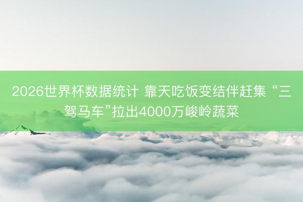 2026世界杯数据统计 靠天吃饭变结伴赶集 “三驾马车”拉出4000万峻岭蔬菜