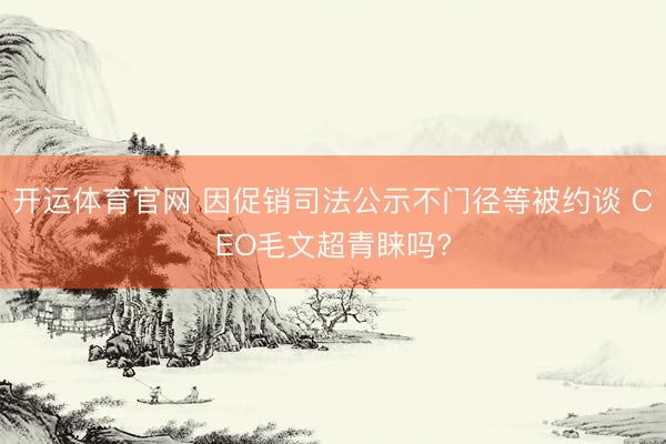 开运体育官网 因促销司法公示不门径等被约谈 CEO毛文超青睐吗?
