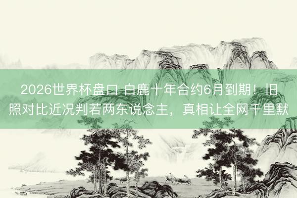 2026世界杯盘口 白鹿十年合约6月到期!旧照对比近况判若两东说念主,真相让全网千里默