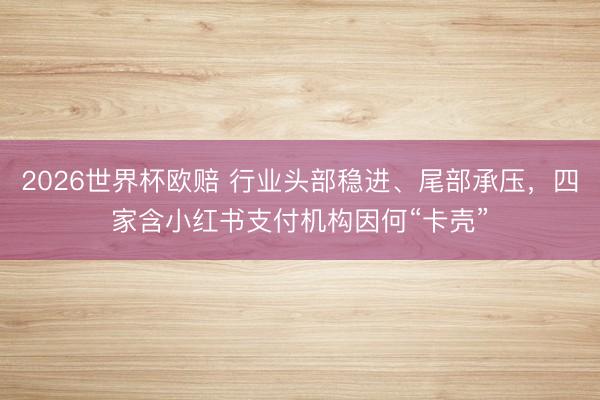 2026世界杯欧赔 行业头部稳进、尾部承压，四家含小红书支付机构因何“卡壳”